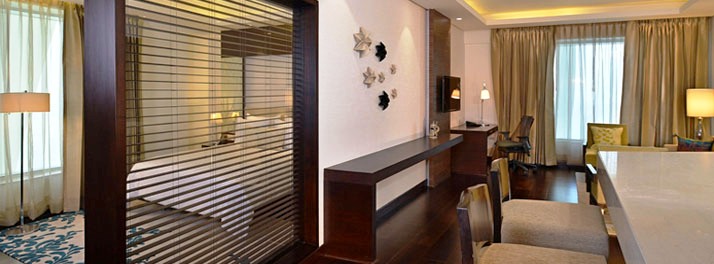 968/Hilton Garden Inn Gurgaon Baani Square - Gurgaon 15.jpg